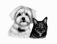 Load image into Gallery viewer, Black and white portrait with pets or animals - Dog and cat - drawings and portraits from your photos - drawking.com - DrawKing