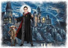 Load image into Gallery viewer, Color portrait with background - boy with harry potter castle and Dobby - colour portrait - drawings and portraits from your photos - drawking.com - DrawKing