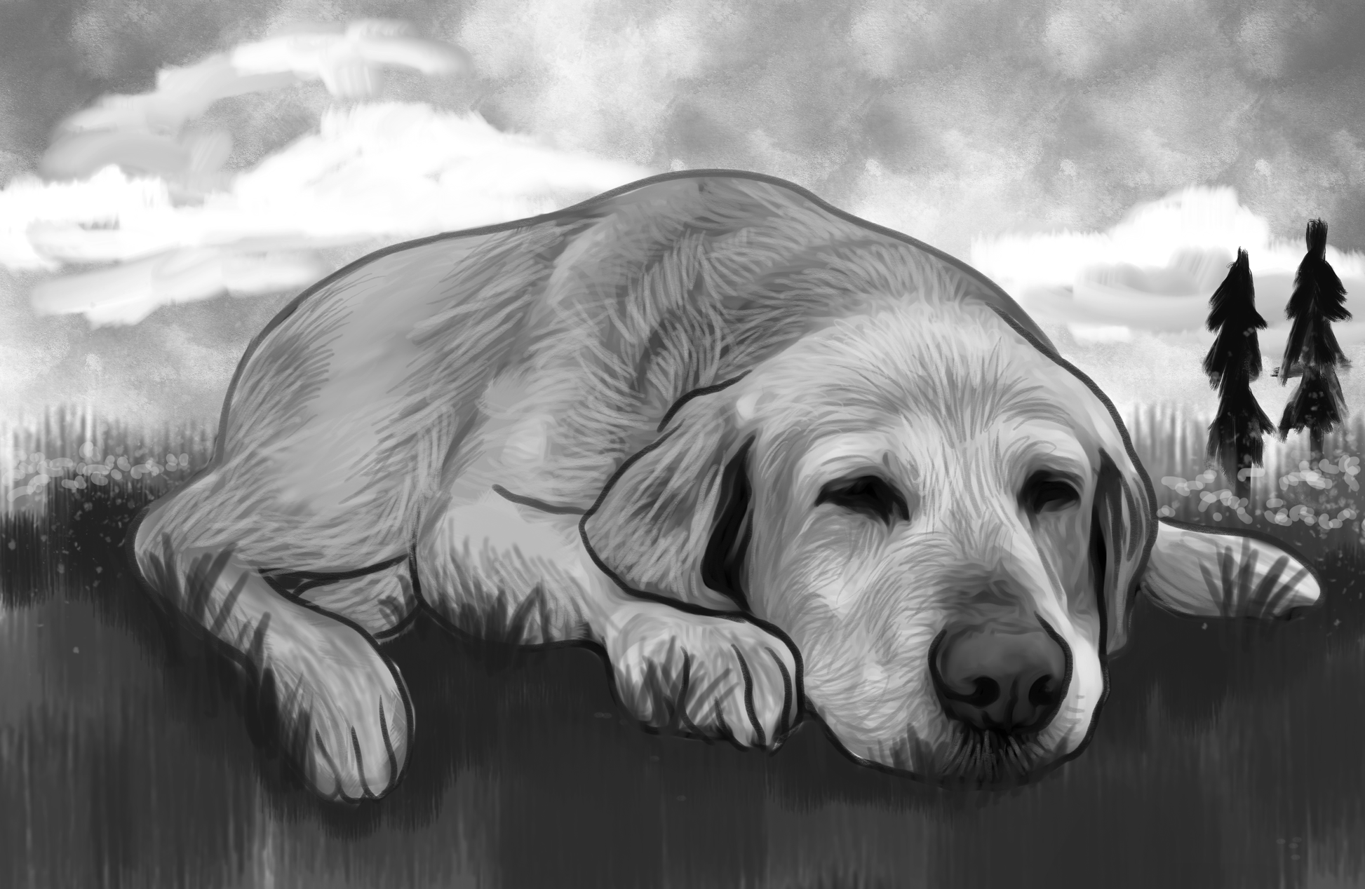 Black & white animal portrait - Dog drawn on grass - drawings and portraits from your photos - drawking.com - DrawKing