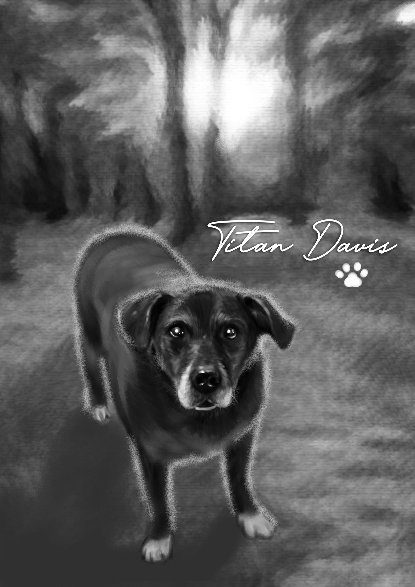Black & white animal portrait - Dog drawn with name - drawings and portraits from your photos - drawking.com - DrawKing