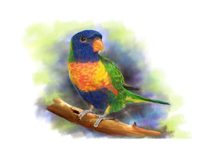 Colour pet portrait with pattern background - watercolour bird drawn - drawings and portraits from your photos - drawking.com - Drawking